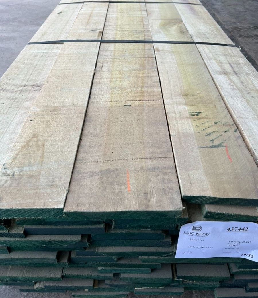 yellow poplar planks