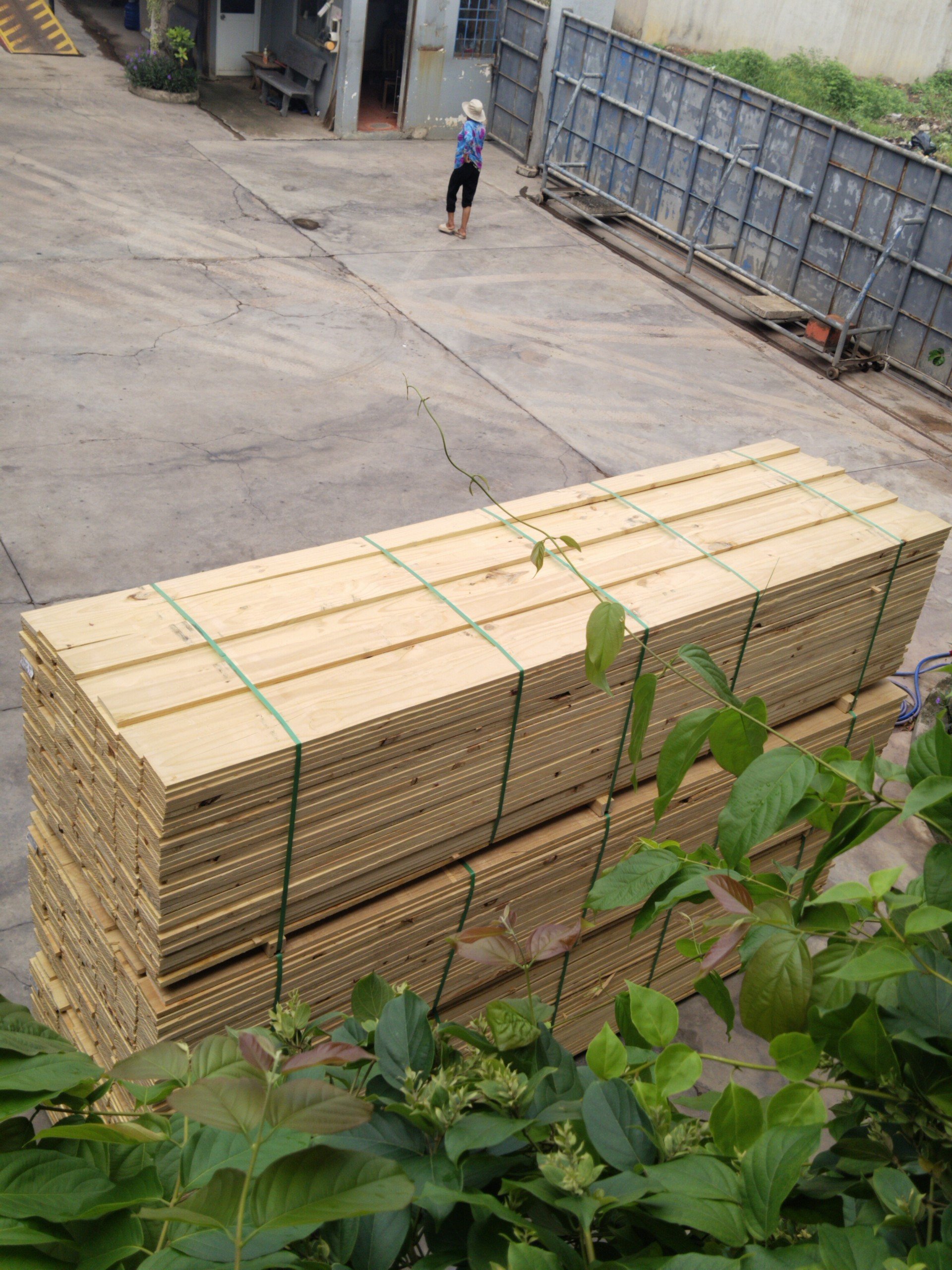 white oak plank piles