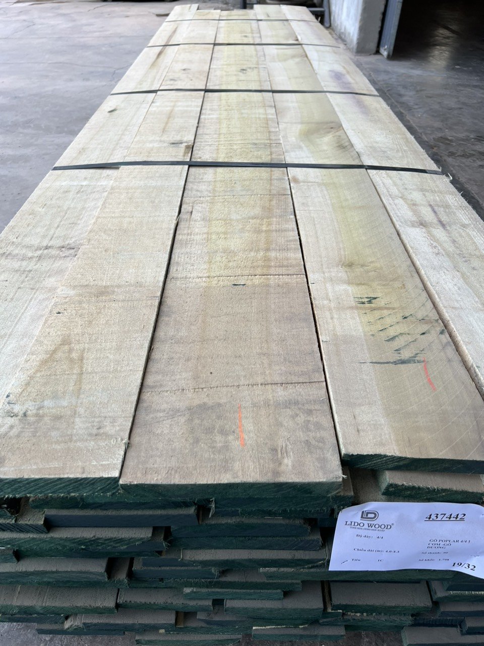 yellow poplar planks