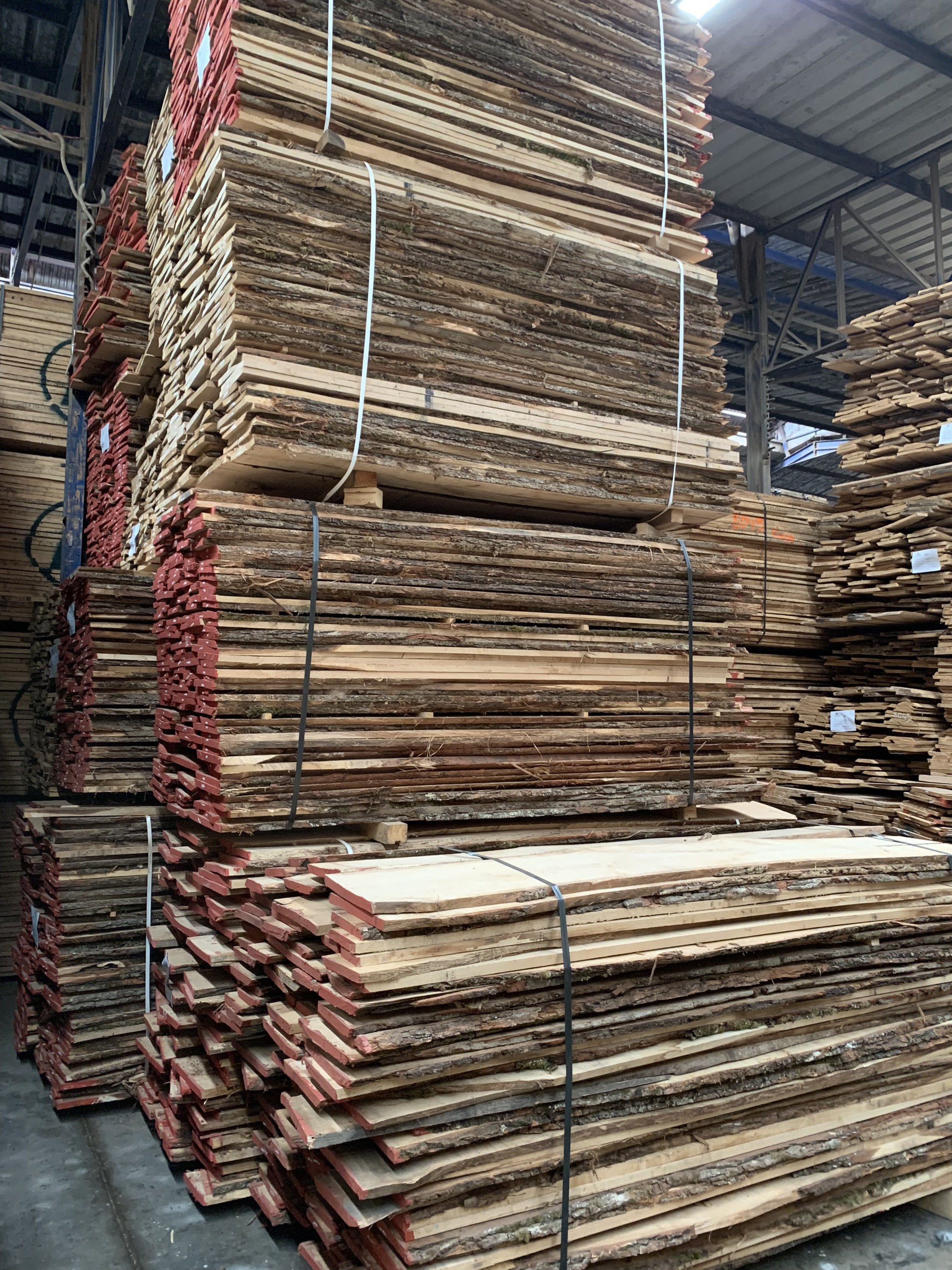 white oak plank piles