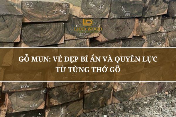 Gỗ Mun: Vẻ Đẹp Bí Ẩn Và Quyền Lực Từ Từng Thớ Gỗ