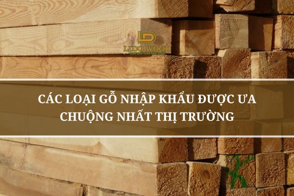 Các Loại Gỗ Nhập Khẩu Được Ưa Chuộng Nhất Thị Trường