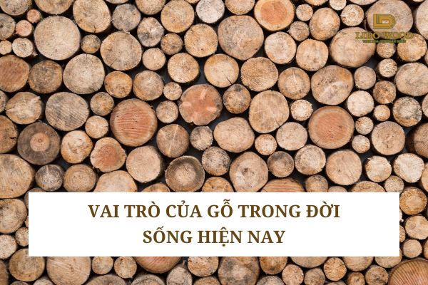 Vai trò của gỗ trong đời sống hiện nay