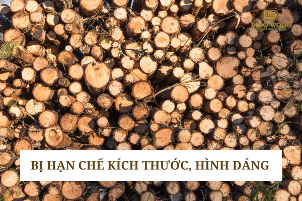 Bị hạn chế về kích thước và hình dáng