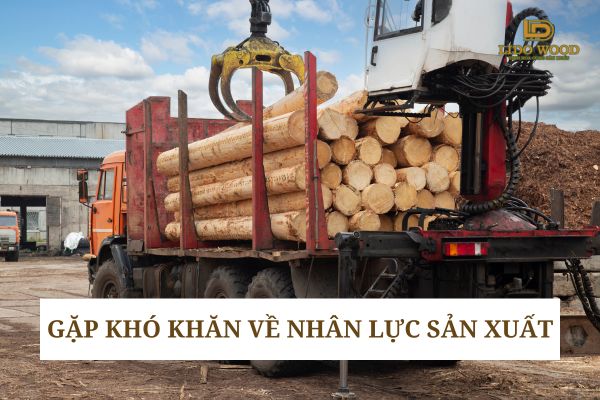 Gặp khó khăn về nhân lực sản xuất