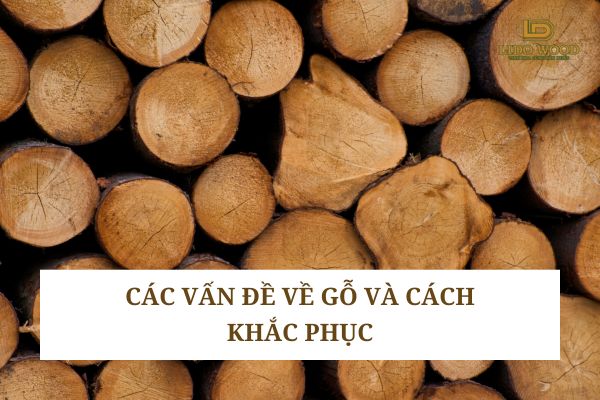 Các vấn đề về gỗ và cách khắc phục