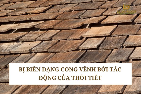 Bị biến dạng cong vênh bởi tác động của thời tiết
