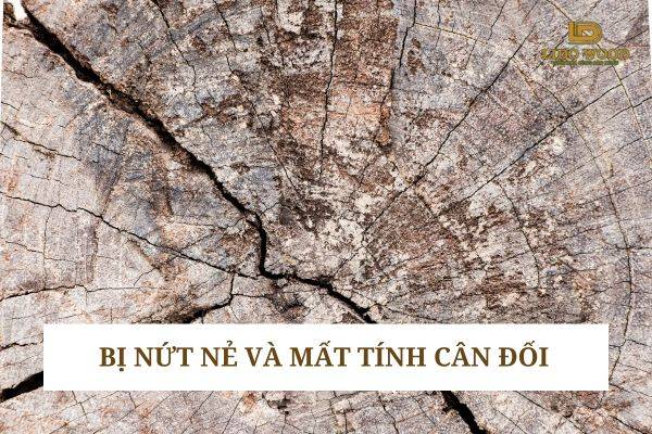 Gỗ bị nứt nẻ và mất tính cân đối