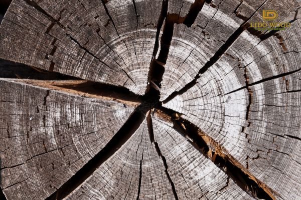 Cách khắc phục gỗ lại bị nứt nẻ