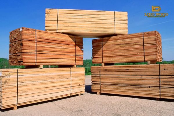 Tổng Quan Về Công Ty Gỗ Nhập Khẩu