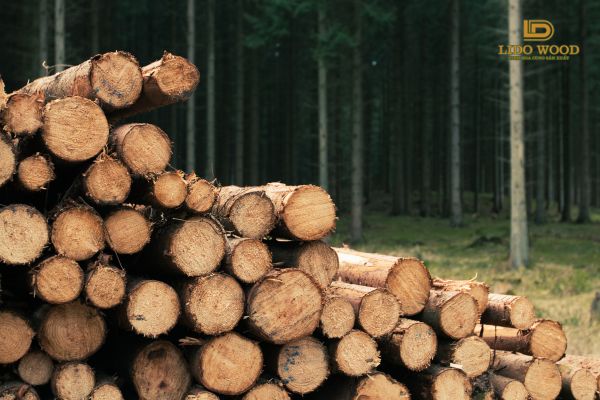 Cách Lựa Chọn Công Ty Gỗ Nhập Khẩu Uy Tín