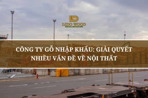 Công Ty Gỗ Nhập Khẩu: Giải Quyết Nhiều Vấn Đề Về Nội Thất