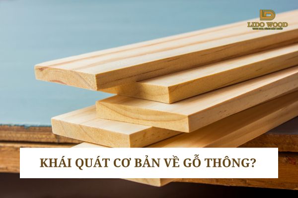 Khái quát cơ bản về gỗ thông?