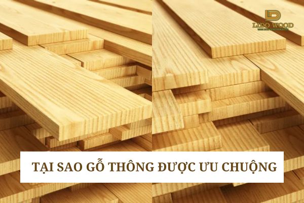 Tại sao gỗ thông được ưu chuộng