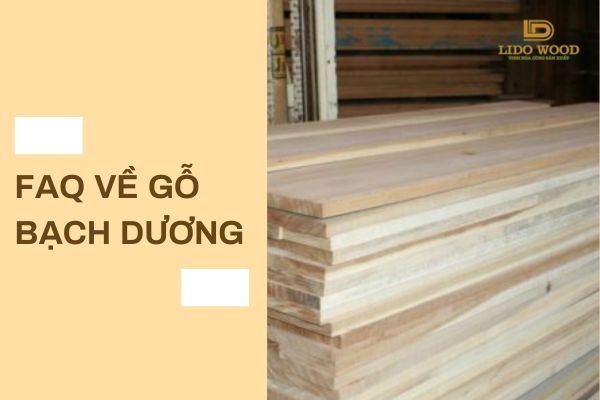 FAQ Về Gỗ Bạch Dương