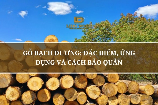 Gỗ Bạch Dương: Đặc Điểm, Ứng Dụng và Cách Bảo Quản