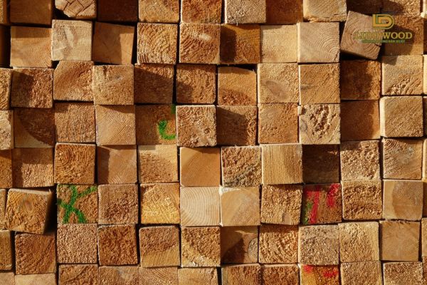 Gỗ nhập khẩu có đặc điểm gì?