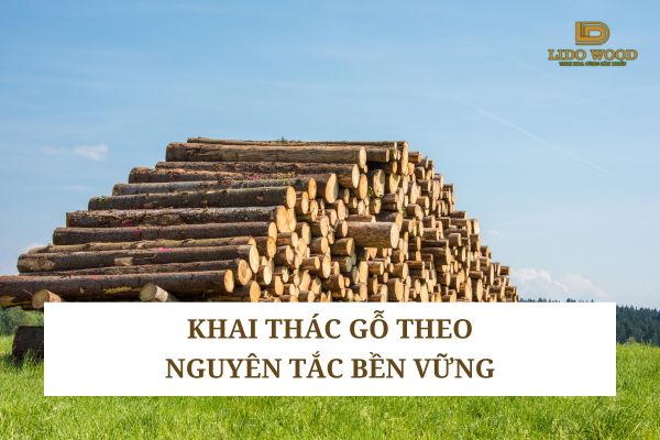 Khai thác gỗ theo nguyên tắc bền vững