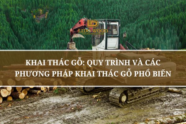 Khai Thác Gỗ: Quy Trình Và Các Phương Pháp Khai Thác Gỗ Phổ Biến