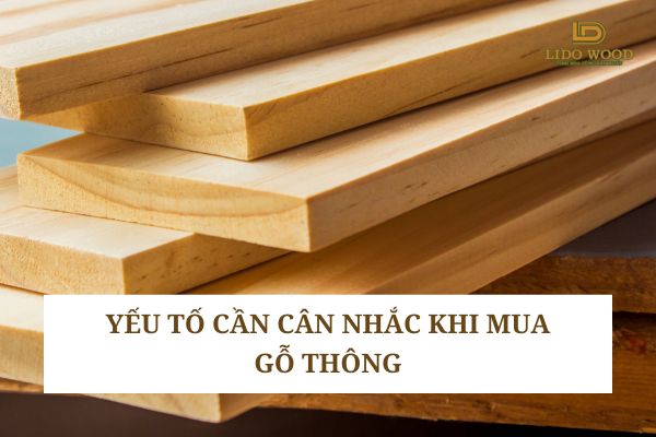 Yếu tố cần cân nhắc khi mua gỗ thông