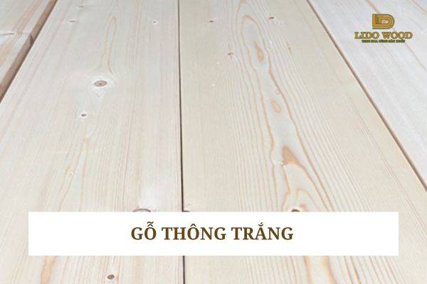 Gỗ thông trắng