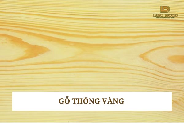 Gỗ thông vàng