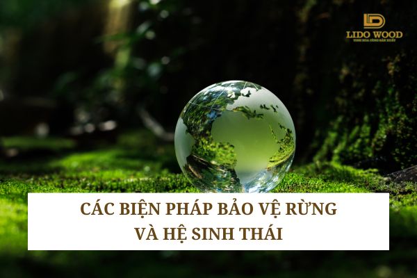 Các biện pháp bảo vệ rừng và hệ sinh thái