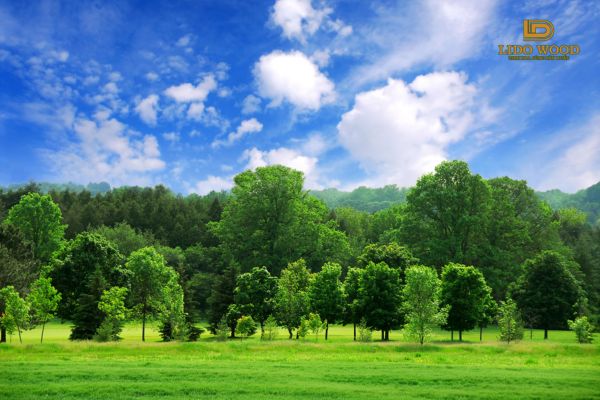 Ngăn ngừa lũ lụt và hạn hán