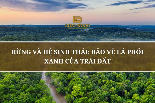 Rừng Và Hệ Sinh Thái: Bảo Vệ Lá Phổi Xanh Của Trái Đất