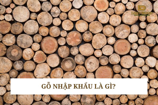 Gỗ nhập khẩu là gì?