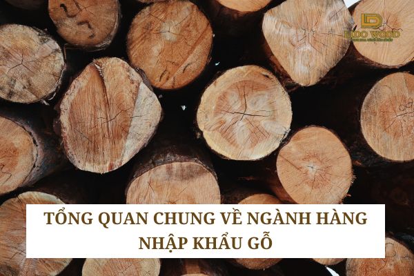 Tổng quan chung về ngành hàng nhập khẩu gỗ