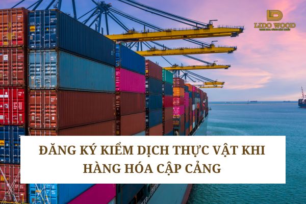 Bước 1: Đăng ký kiểm dịch thực vật khi hàng hóa cập cảng