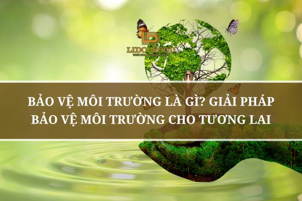 Bảo Vệ Môi Trường Là Gì? Giải Pháp Bảo Vệ Môi Trường Cho Tương Lai