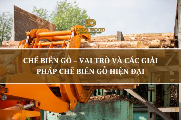 Chế Biến Gỗ – Vai Trò Và Các Giải Pháp Chế Biến Gỗ Hiện Đại