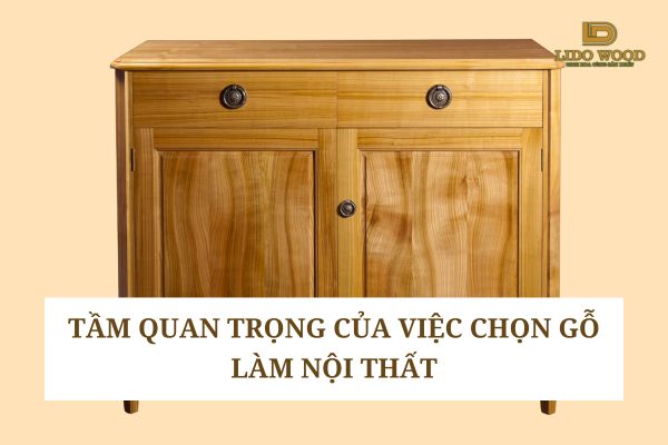 Tầm quan trọng của việc chọn gỗ làm nội thất