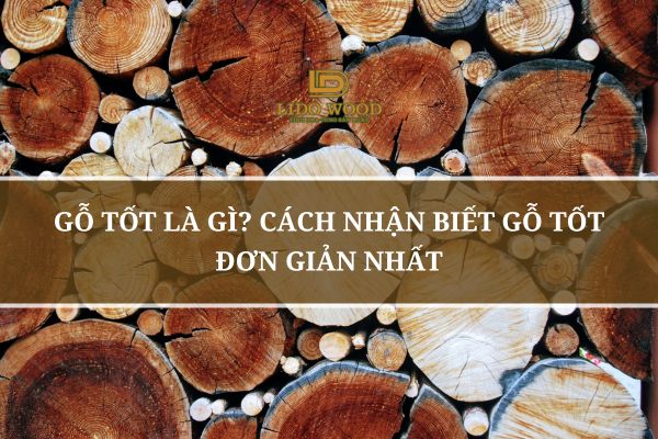 Nhận biết gỗ tốt
