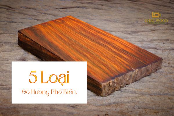 5 loại gỗ hương nhập khẩu phổ biến