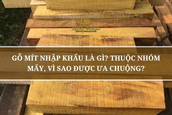 Gỗ Mít Nhập Khẩu Là Gì? Thuộc Nhóm Mấy, Vì Sao Được Ưa Chuộng?
