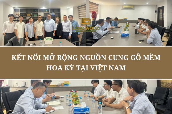 Kết Nối Mở Rộng Nguồn Cung Gỗ Mềm Hoa Kỳ Tại Việt Nam