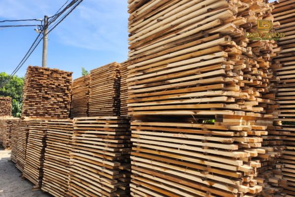 Các loại gỗ nhập khẩu phổ biến hiện nay