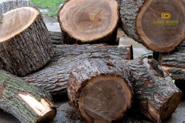 Bảng giá gỗ các loại nhập khẩu phổ biến