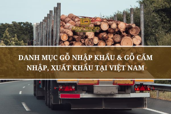 Danh Mục Gỗ Nhập Khẩu & Gỗ Cấm Nhập, Xuất Khẩu Tại Việt Nam