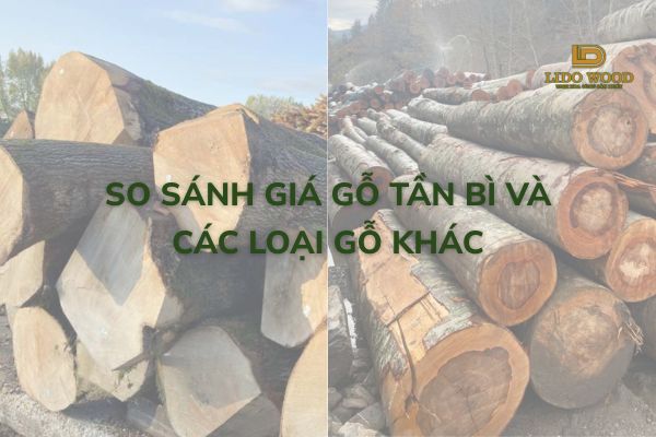 So sánh giá gỗ tần bì và các loại gỗ khác