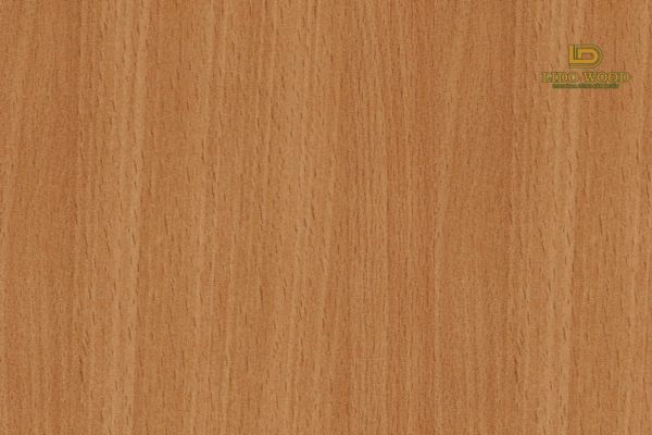 Gỗ dẻ gai nhập khẩu là gì?