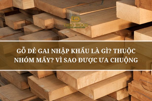 Gỗ Dẻ Gai Nhập Khẩu Là Gì? Thuộc Nhóm Mấy? Vì Sao Được Ưa Chuộng