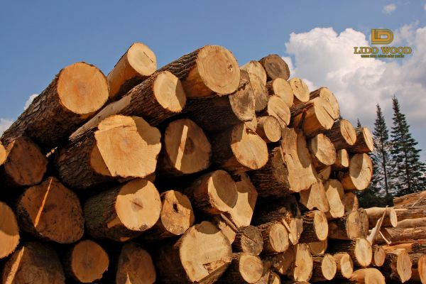 Có nên sử dụng gỗ nhập khẩu không?
