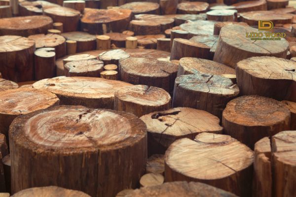 Mua gỗ nhập khẩu tại Bình Dương ở đâu uy tín?