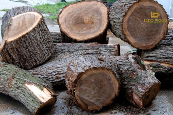 Gỗ óc chó thuộc nhóm mấy?