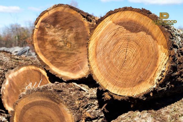 Ưu điểm của gỗ óc chó ngoại nhập