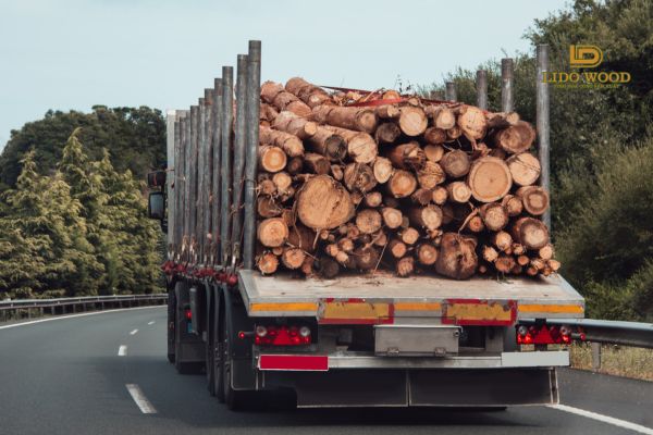 Thủ tục nhập khẩu gỗ óc chó
